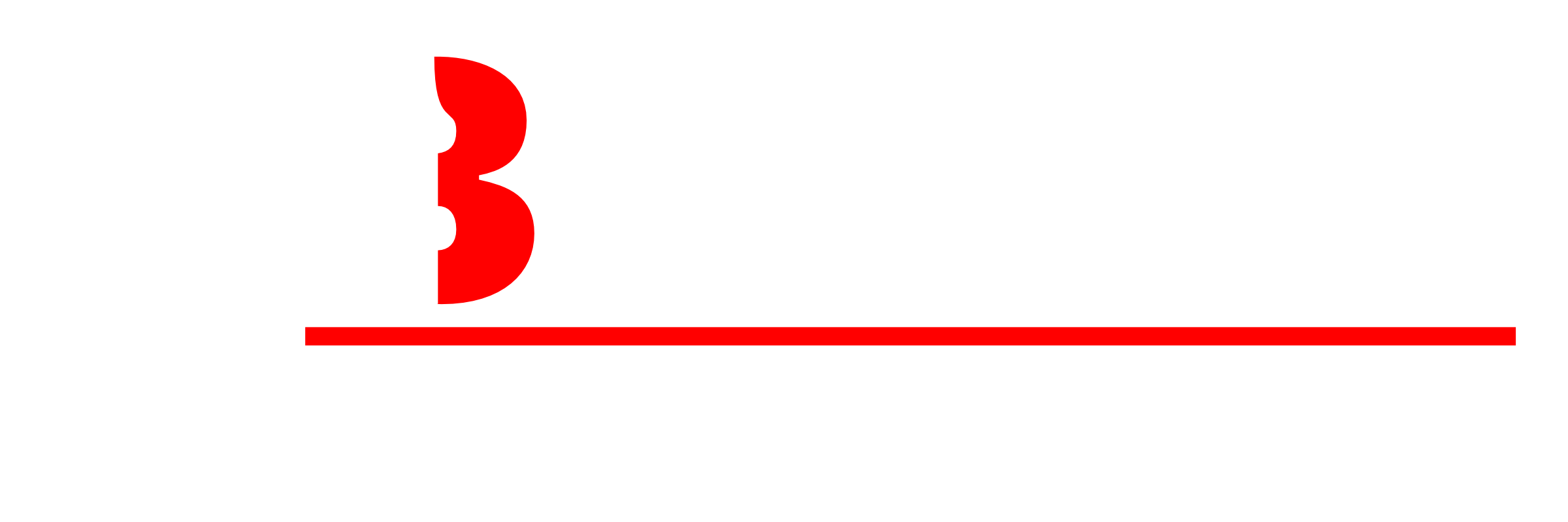 Logo BULLY
